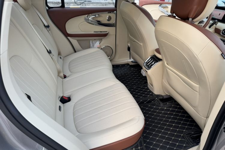 Used ORA Ballet Cat 2023 401 km Luxury Version Interior 5