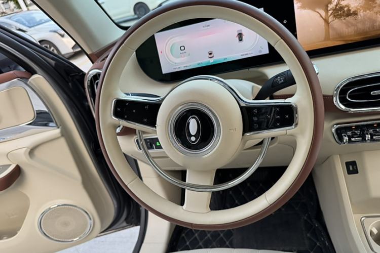Used ORA Ballet Cat 2023 401 km Luxury Version Interior 7