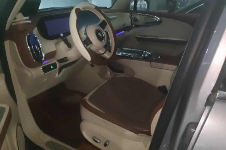Used ORA Ballet Cat 2023 401 km Luxury Version Left Front Seat
