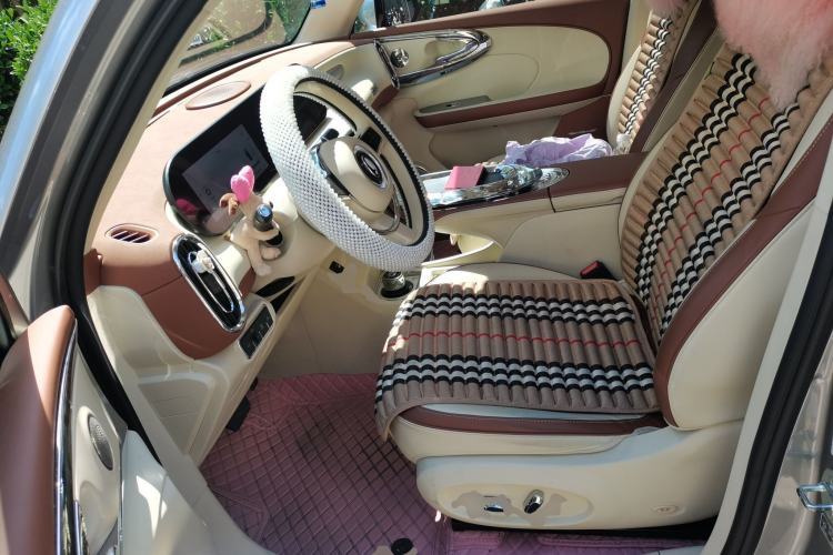 Used ORA Ballet Cat 2023 401 km Luxury Version Left Front Seat