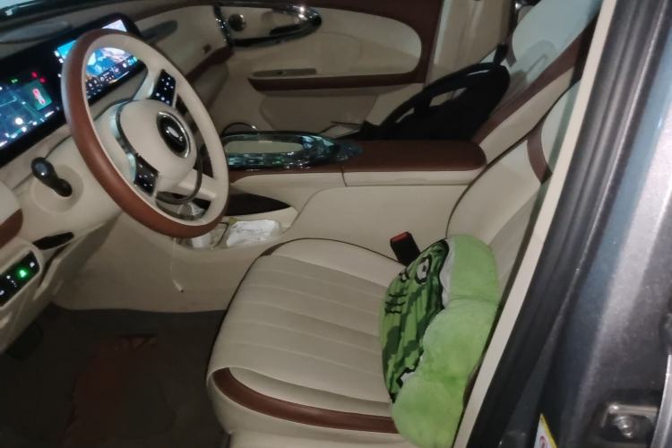 Used ORA Ballet Cat 2023 401 km Luxury Version Left Front Seat
