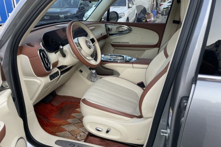 Used ORA Ballet Cat 2023 401 km Luxury Version Left Front Seat