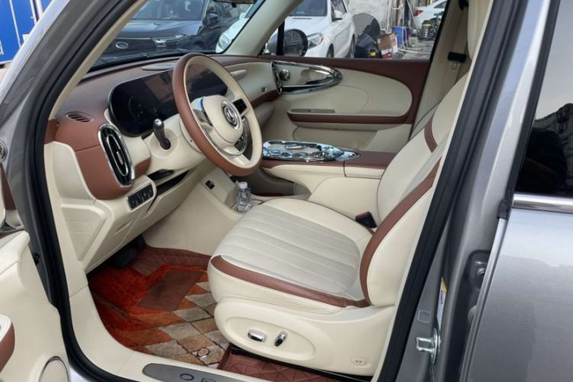 Used ORA Ballet Cat 2023 401 km Luxury Version Left Front Seat