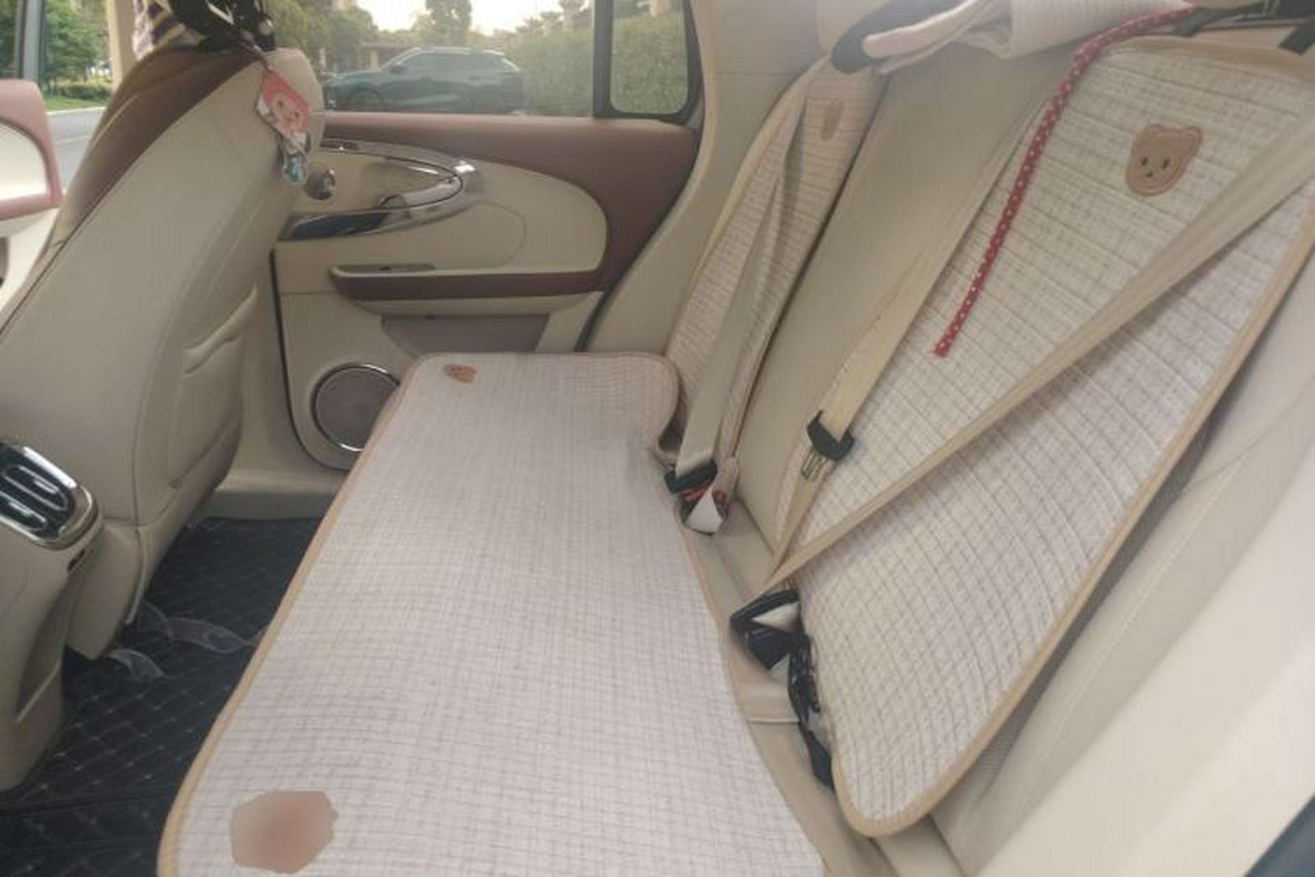 Used ORA Ballet Cat 2023 401 km Luxury Version Left Rear Seat