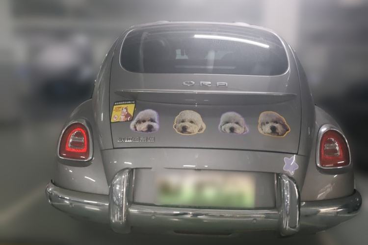 Used ORA Ballet Cat 2023 401 km Luxury Version Rear