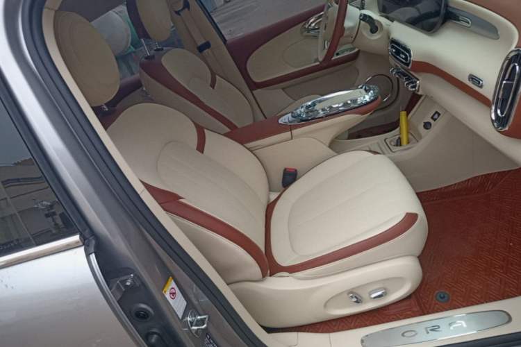Used ORA Ballet Cat 2023 401 km Luxury Version Right Front Seat
