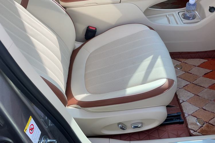 Used ORA Ballet Cat 2023 401 km Luxury Version Right Front Seat