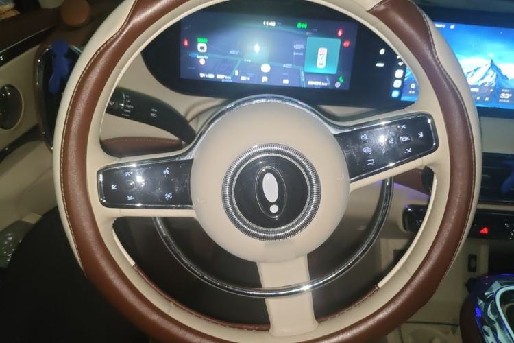 Used ORA Ballet Cat 2023 401 km Luxury Version Steering Wheel