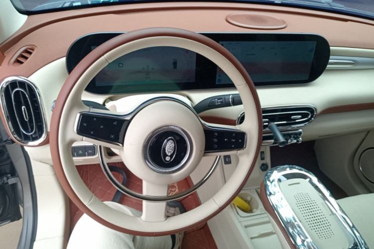 Used ORA Ballet Cat 2023 401 km Luxury Version Steering Wheel