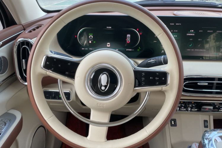 Used ORA Ballet Cat 2023 401 km Luxury Version Steering Wheel