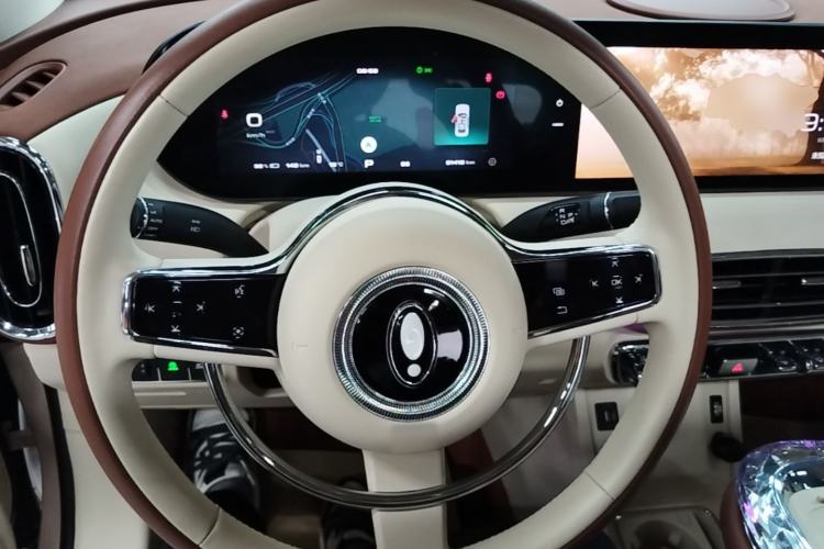 Used ORA Ballet Cat 2023 401 km Luxury Version Steering Wheel