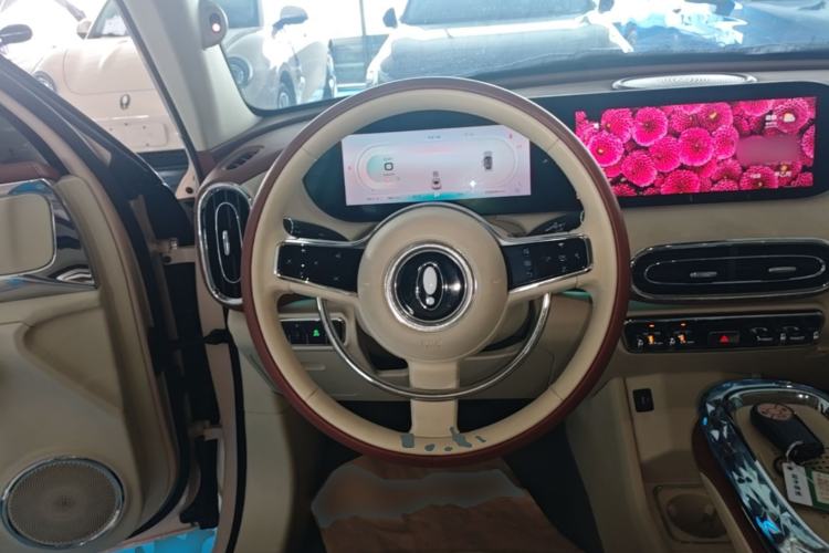 Used ORA Ballet Cat 2023 401 km Luxury Version Steering Wheel