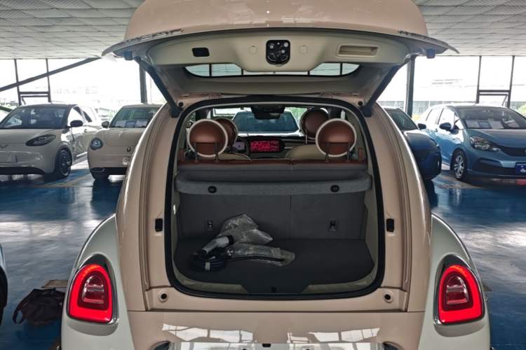 Used ORA Ballet Cat 2023 401 km Luxury Version Trunk