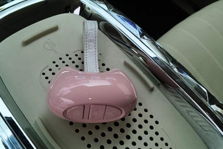 Used ORA Ballet Cat 2023 401 km Luxury Version Vehicle Key
