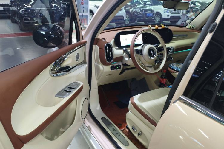 Used ORA Ballet Cat 2023 401 km Luxury Version Driver Seat