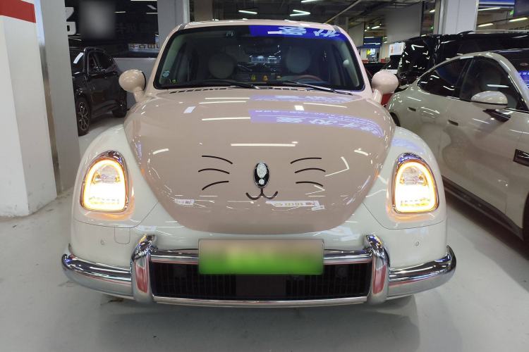 Used ORA Ballet Cat 2023 401 km Luxury Version Front