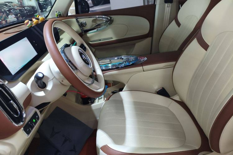 Used ORA Ballet Cat 2023 401 km Luxury Version Left Front Seat