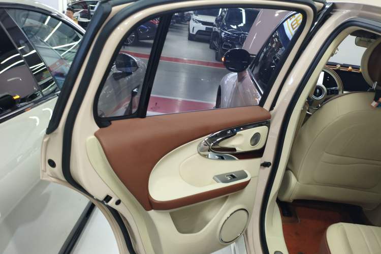 Used ORA Ballet Cat 2023 401 km Luxury Version Left Rear Door Interior