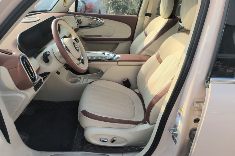 Used ORA Ballet Cat 2023 401 km Luxury Version Left Front Seat