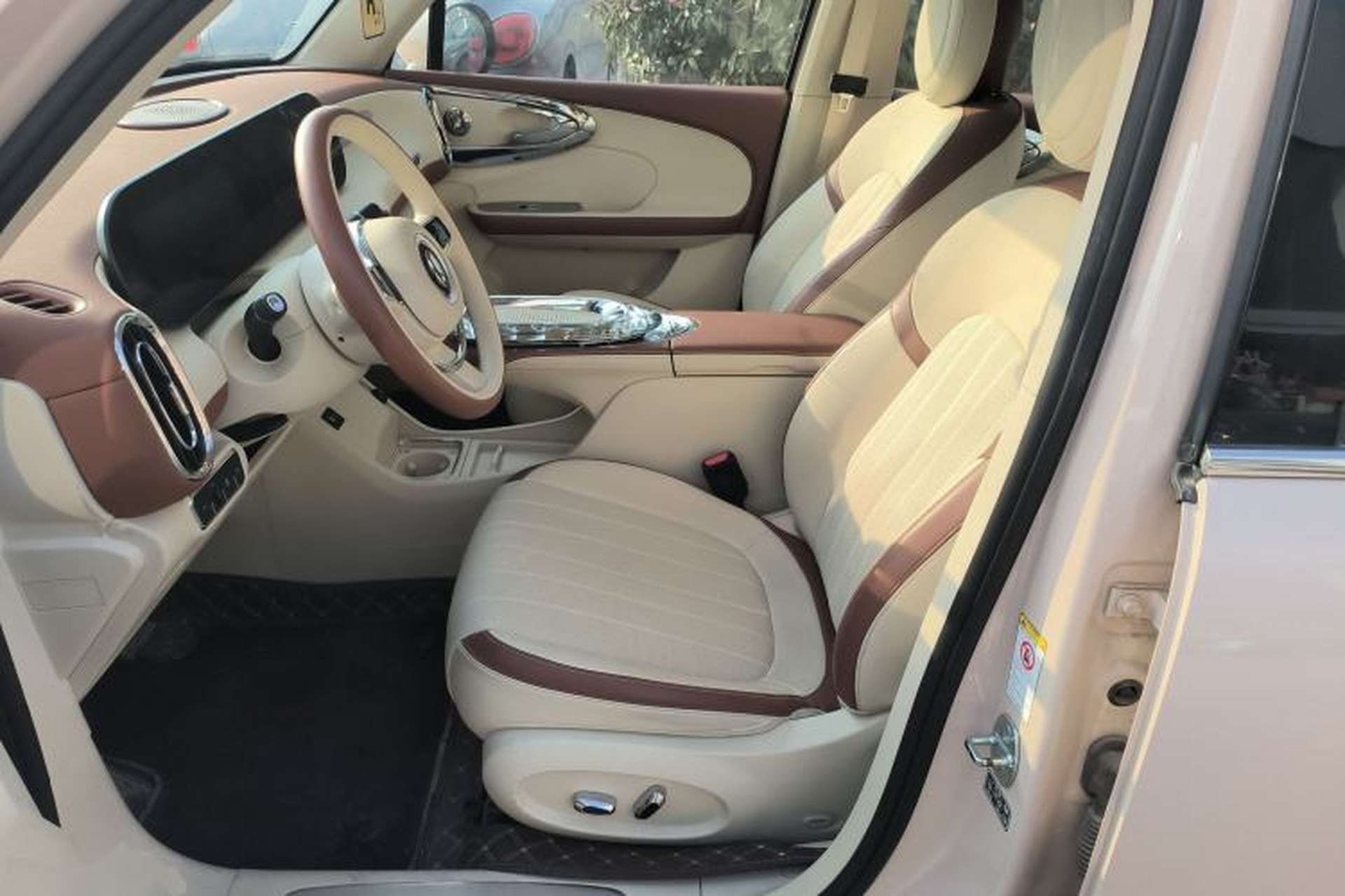Used ORA Ballet Cat 2023 401 km Luxury Version Left Front Seat
