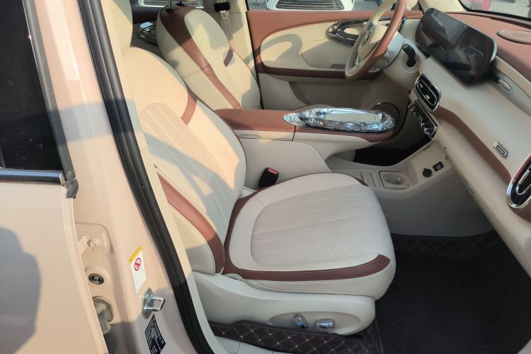 Used ORA Ballet Cat 2023 401 km Luxury Version Right Front Seat