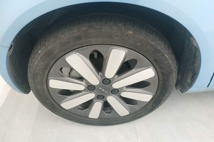 Used ORA Black Cat 2021 351 km Standard Version Exterior 7