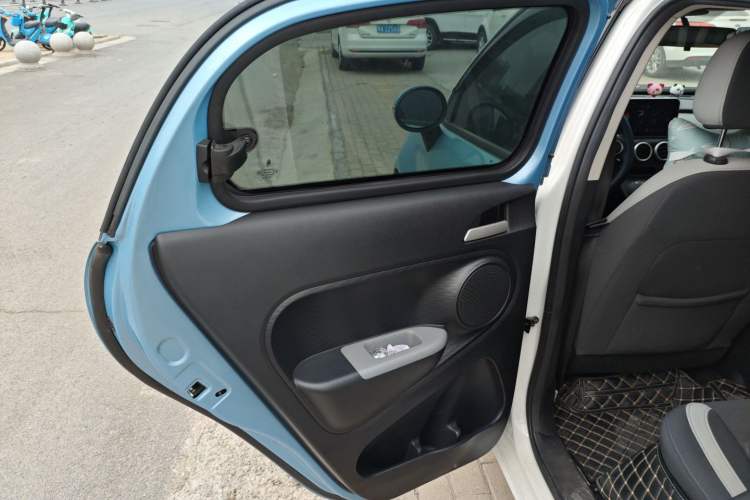 Used ORA Black Cat 2019 351 km Lingzhi Edition Left Rear Door Interior