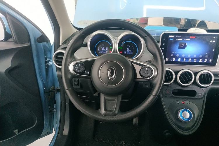 Used ORA Black Cat 2021 351 km Standard Version Steering Wheel