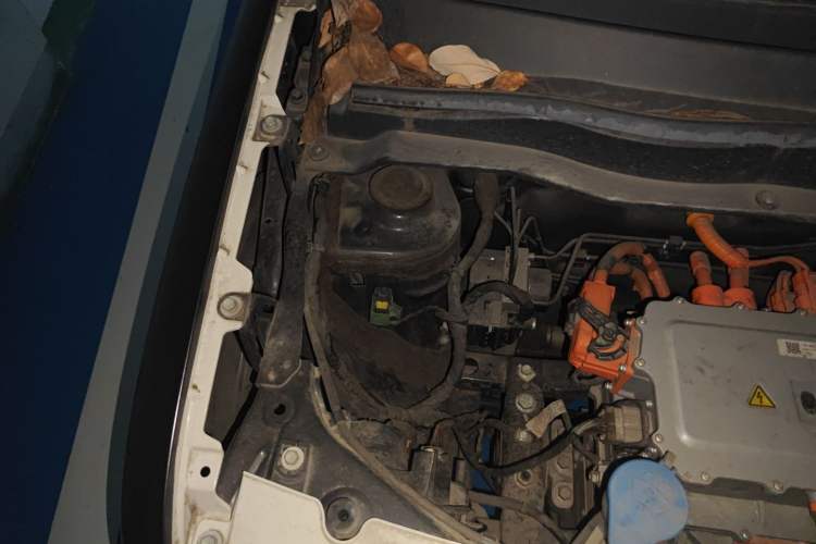 Used ORA Black Cat 2021 301 km Basic Version Engine Bay Right