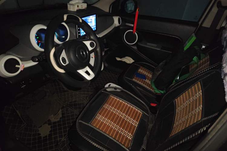 Used ORA Black Cat 2021 301 km Basic Version Left Front Seat