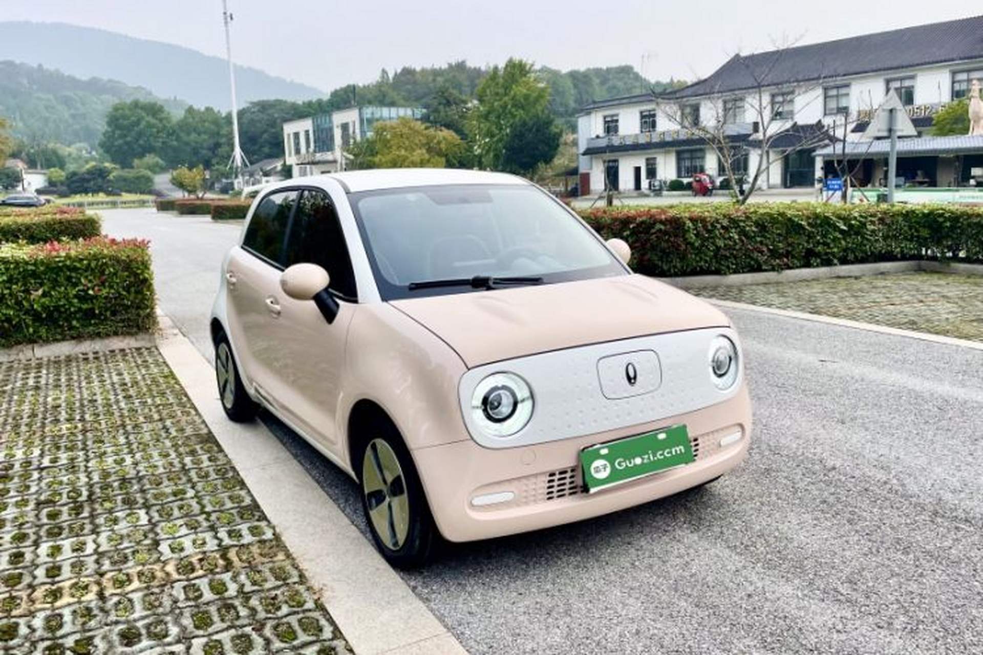 Used ORA Black Cat 2022 Updated Version 301 km Cute Pet Edition Lithium Iron Phosphate Exterior 5