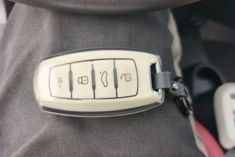 Used ORA Black Cat 2021 351 km Luxury Version Interior 1