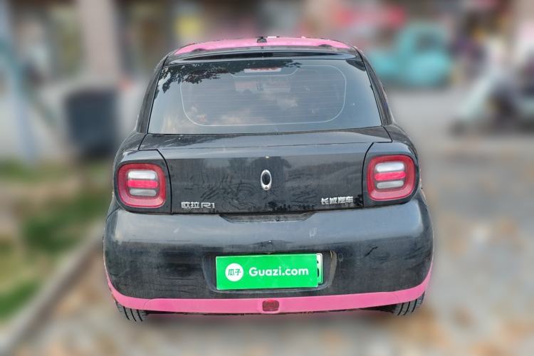 Used ORA Black Cat 2019 351 km Lingzhi Edition Exterior 4