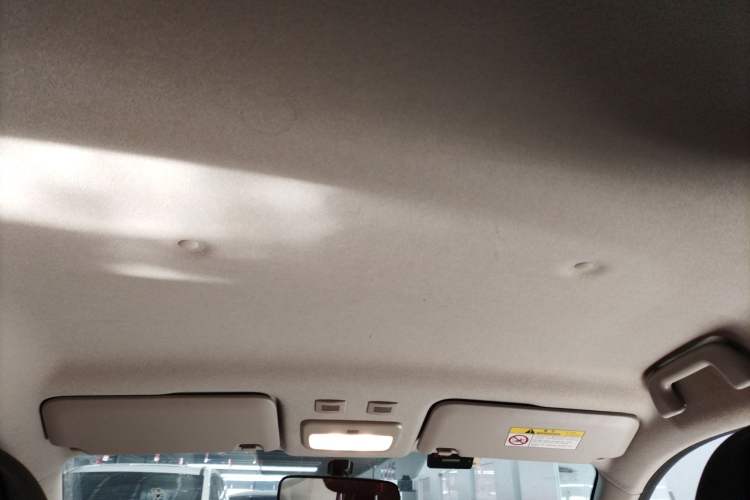 Used ORA Black Cat 2019 301km Standard Edition Headliner