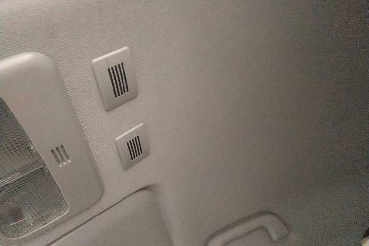 Used ORA Black Cat 2019 301km Standard Edition Headliner