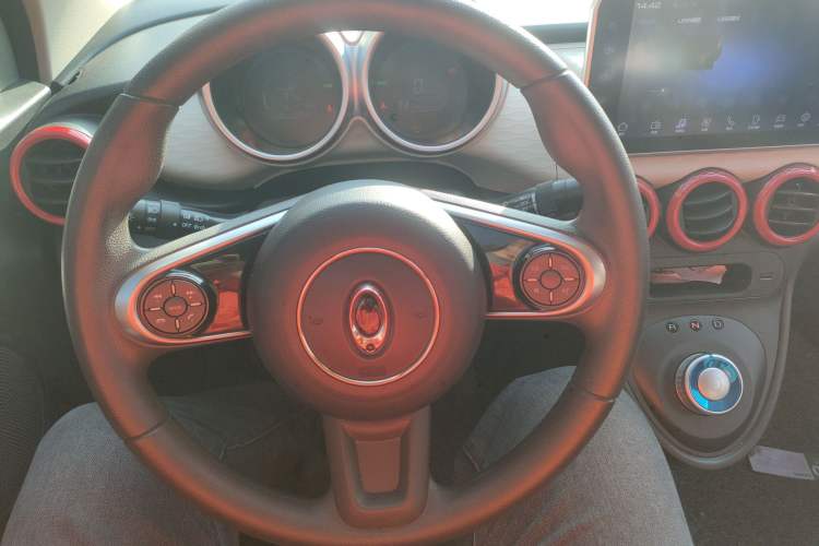 Used ORA Black Cat 2019 301km Standard Edition Steering Wheel