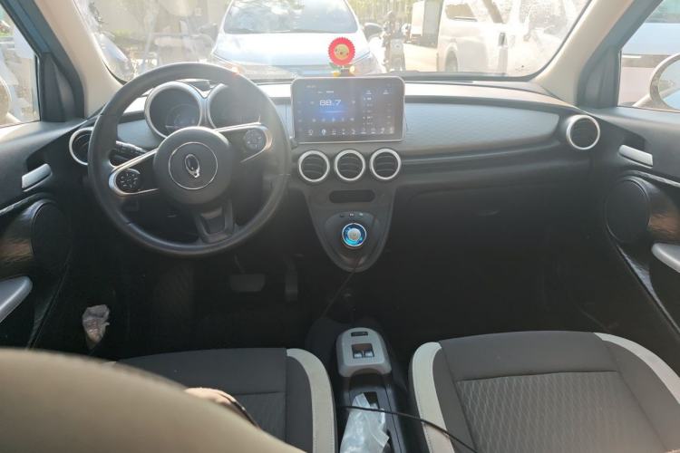 Used ORA Black Cat 2019 351 km Goddess Edition Center Console