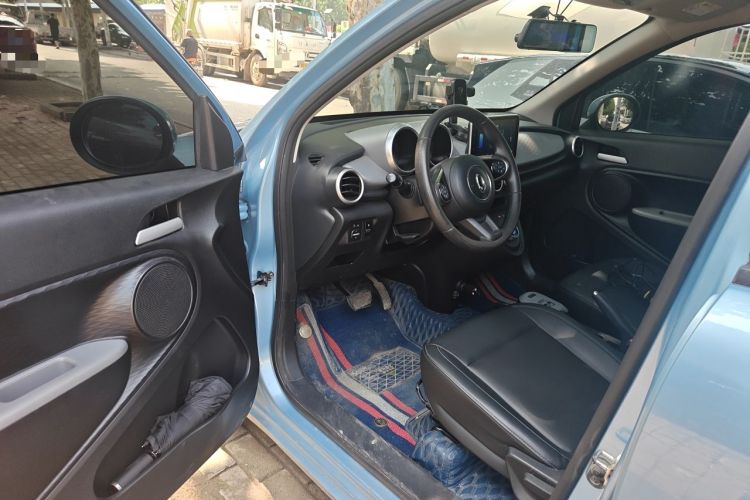 Used ORA Black Cat 2019 351 km Family Edition Driver Seat