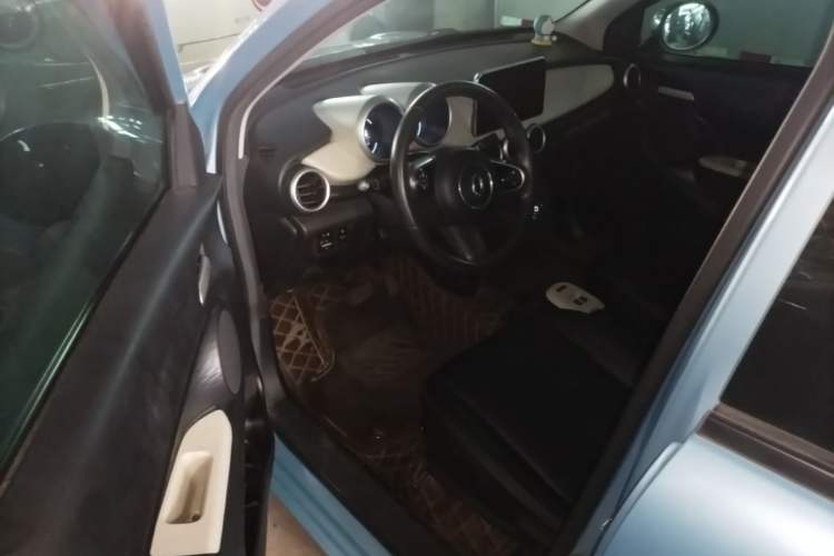 Used ORA Black Cat 2019 351 km Goddess Edition Driver Seat
