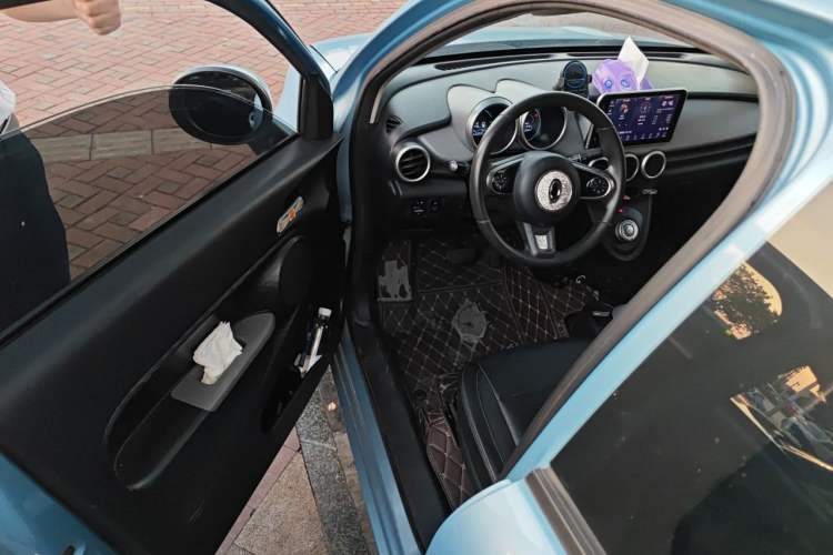 Used ORA Black Cat 2019 351 km Family Edition Driver Seat