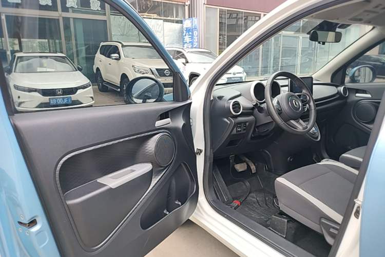 Used ORA Black Cat 2019 351 km Goddess Edition Driver Seat