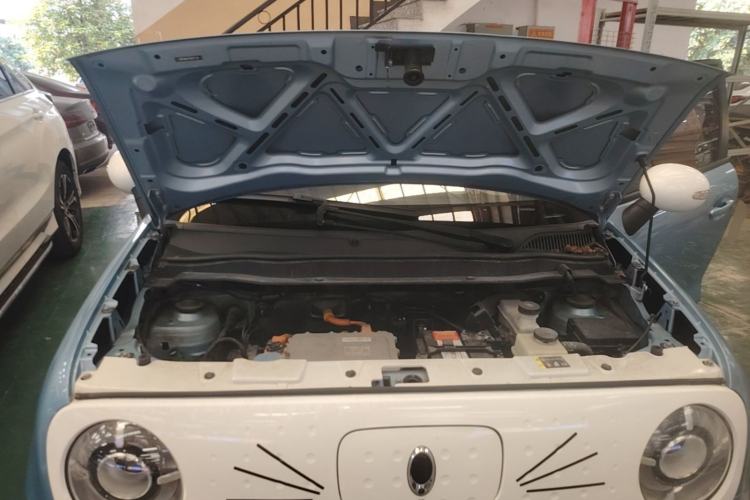 Used ORA Black Cat 2019 351 km Family Edition Engine Bay
