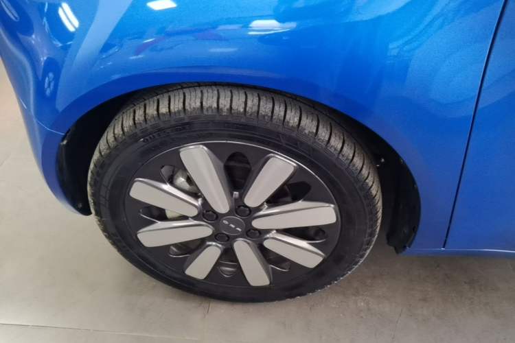 Used ORA Black Cat 2019 351 km Lingzhi Edition Exterior 4