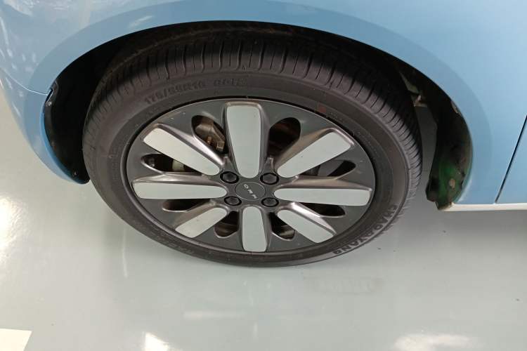 Used ORA Black Cat 2019 351 km Family Edition Exterior 4