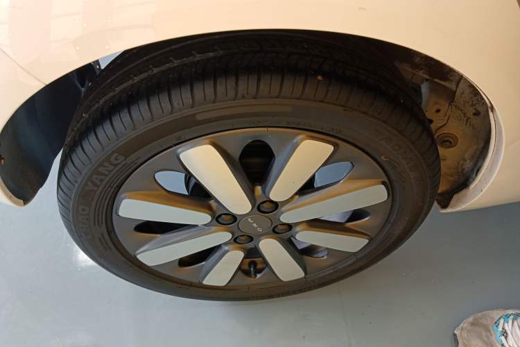 Used ORA Black Cat 2019 351 km Family Edition Exterior 5