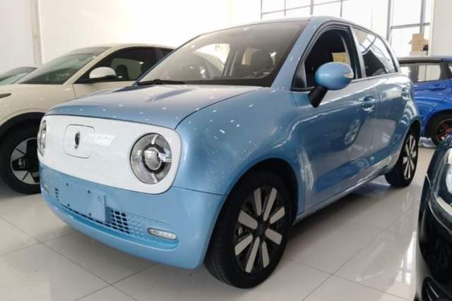 Used ORA Black Cat 2019 351 km Family Edition