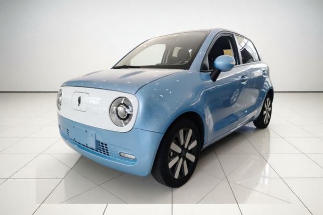 ORA Black Cat 2019 351 km Family Edition d’occasion