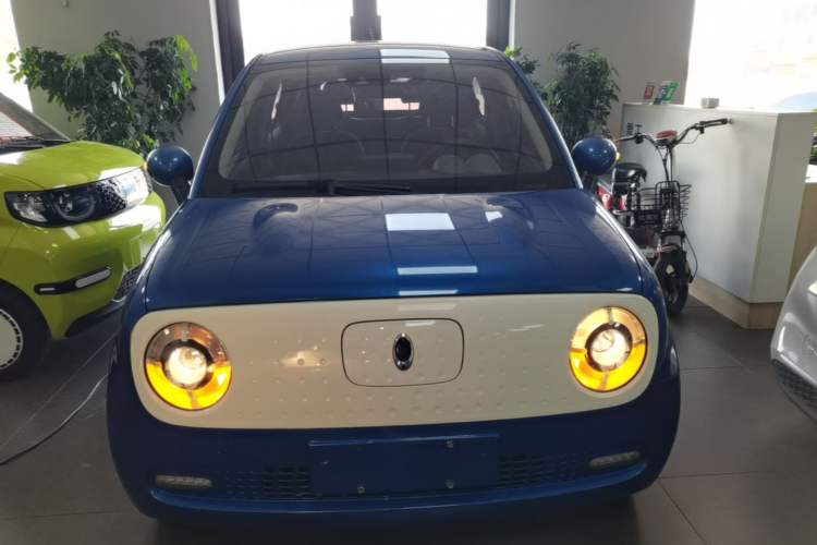Used ORA Black Cat 2019 351 km Lingzhi Edition Front