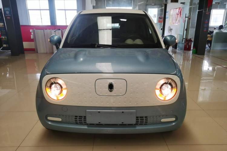 Used ORA Black Cat 2019 351 km Fun Edition Front