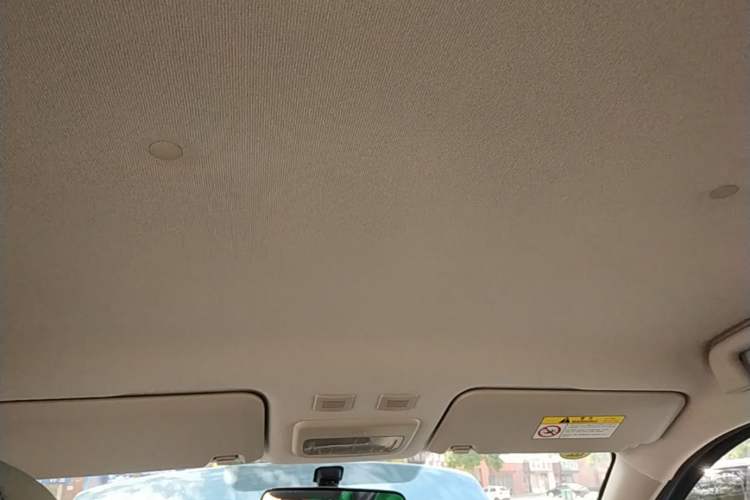 Used ORA Black Cat 2019 310km Fun Edition Headliner
